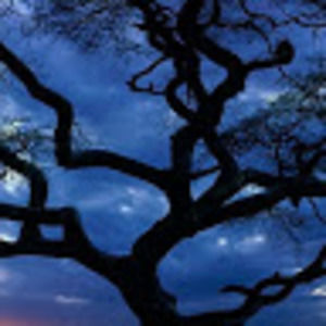 Meet your Posher, Amelia